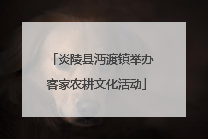 炎陵县沔渡镇举办客家农耕文化活动