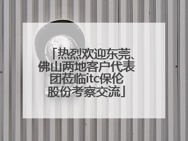 热烈欢迎东莞、佛山两地客户代表团莅临itc保伦股份考察交流