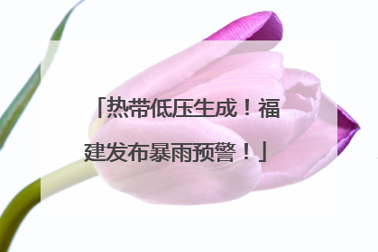 热带低压生成！福建发布暴雨预警！