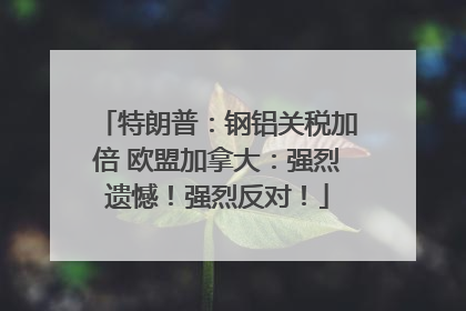 特朗普：钢铝关税加倍 欧盟加拿大：强烈遗憾！强烈反对！