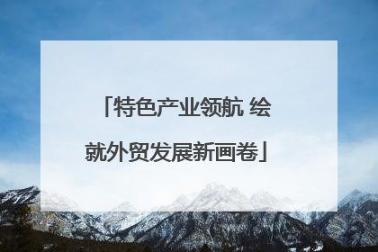 特色产业领航 绘就外贸发展新画卷
