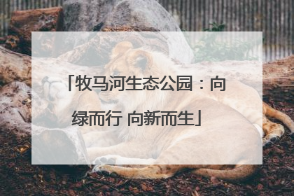 牧马河生态公园：向绿而行 向新而生