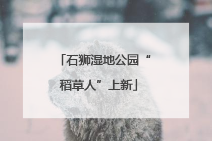 石狮湿地公园“稻草人”上新