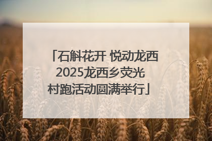 石斛花开 悦动龙西 2025龙西乡荧光村跑活动圆满举行