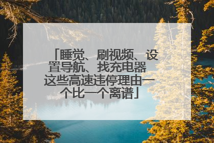 睡觉、刷视频、设置导航、找充电器 这些高速违停理由一个比一个离谱