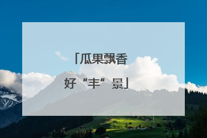 瓜果飘香 好“丰”景