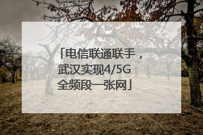 电信联通联手，武汉实现4/5G全频段一张网