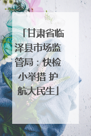 甘肃省临泽县市场监管局：快检小举措 护航大民生