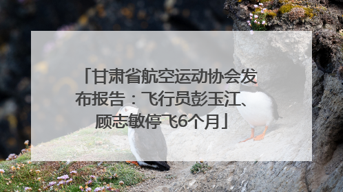 甘肃省航空运动协会发布报告：飞行员彭玉江、顾志敏停飞6个月