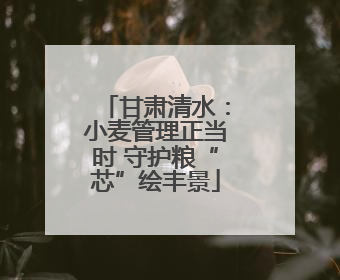 甘肃清水：小麦管理正当时 守护粮“芯”绘丰景