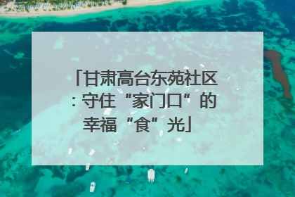 甘肃高台东苑社区：守住“家门口”的幸福“食”光