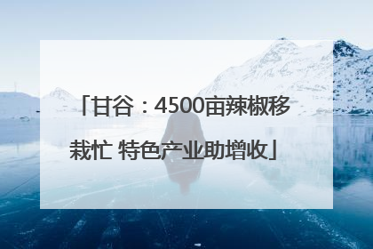 甘谷：4500亩辣椒移栽忙 特色产业助增收