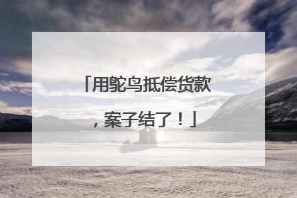 用鸵鸟抵偿货款，案子结了！