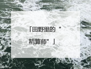 田野里的“精算师”