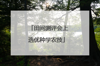 田间测评会上选优种学农技