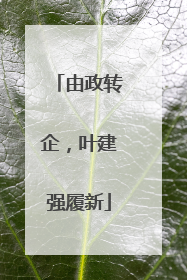 由政转企，叶建强履新