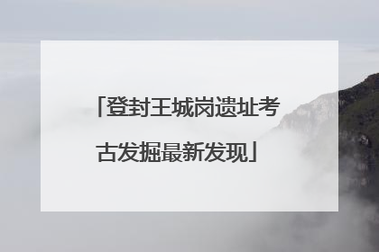登封王城岗遗址考古发掘最新发现