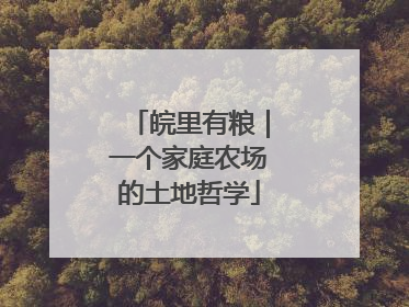 皖里有粮｜一个家庭农场的土地哲学