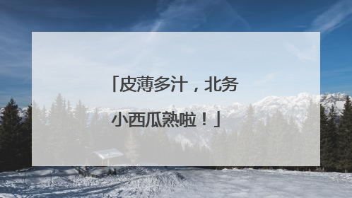 皮薄多汁，北务小西瓜熟啦！
