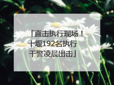 直击执行现场！十堰192名执行干警凌晨出击