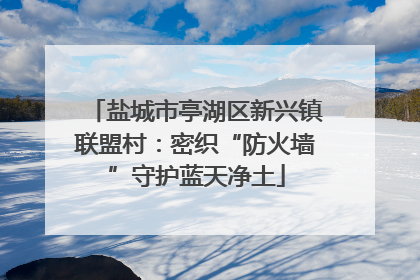 盐城市亭湖区新兴镇联盟村：密织“防火墙”守护蓝天净土