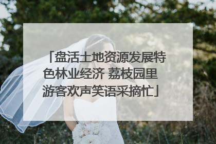 盘活土地资源发展特色林业经济 荔枝园里游客欢声笑语采摘忙