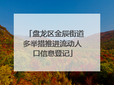 盘龙区金辰街道多举措推进流动人口信息登记
