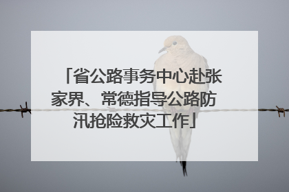 省公路事务中心赴张家界、常德指导公路防汛抢险救灾工作