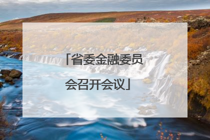 省委金融委员会召开会议