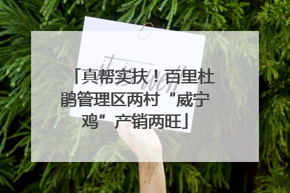 真帮实扶！百里杜鹃管理区两村“威宁鸡”产销两旺