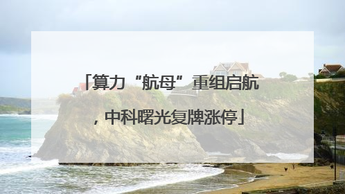 算力“航母”重组启航，中科曙光复牌涨停