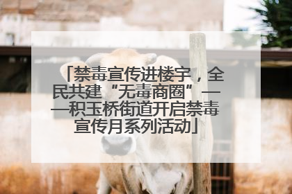 禁毒宣传进楼宇，全民共建“无毒商圈”——积玉桥街道开启禁毒宣传月系列活动