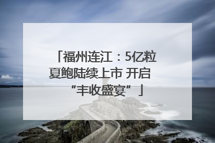福州连江：5亿粒夏鲍陆续上市 开启“丰收盛宴”