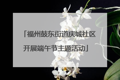 福州鼓东街道庆城社区开展端午节主题活动