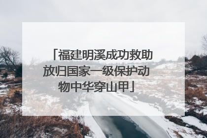 福建明溪成功救助放归国家一级保护动物中华穿山甲