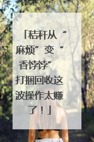 秸秆从“麻烦”变“香饽饽” 打捆回收这波操作太赚了！