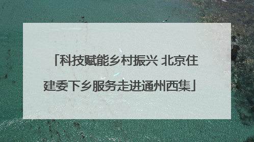 科技赋能乡村振兴 北京住建委下乡服务走进通州西集