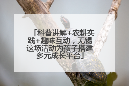科普讲解+农耕实践+趣味互动，无锡这场活动为孩子搭建多元成长平台