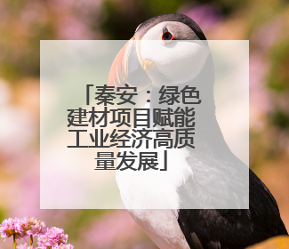 秦安：绿色建材项目赋能工业经济高质量发展