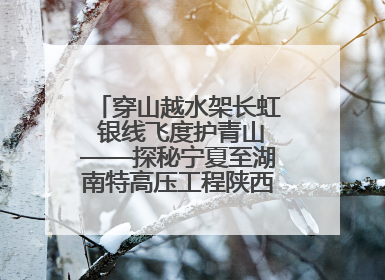 穿山越水架长虹 银线飞度护青山——探秘宁夏至湖南特高压工程陕西段建设现场