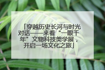 穿越历史长河与时光对话——来看“一眼千年”文物科技美学展，开启一场文化之旅