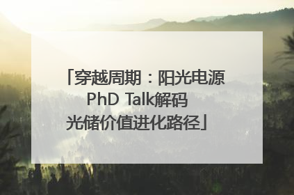 穿越周期：阳光电源PhD Talk解码光储价值进化路径