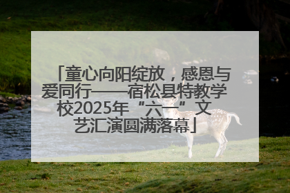 童心向阳绽放，感恩与爱同行——宿松县特教学校2025年“六一”文艺汇演圆满落幕