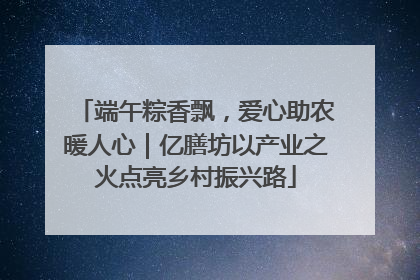 端午粽香飘，爱心助农暖人心｜亿膳坊以产业之火点亮乡村振兴路