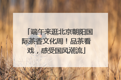 端午来逛北京朝阳国际茶香文化周！品茶看戏，感受国风潮流