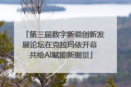 第三届数字新疆创新发展论坛在克拉玛依开幕 共绘AI赋能新图景