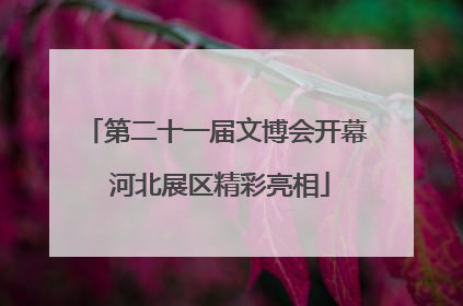第二十一届文博会开幕 河北展区精彩亮相
