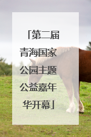第二届青海国家公园主题公益嘉年华开幕