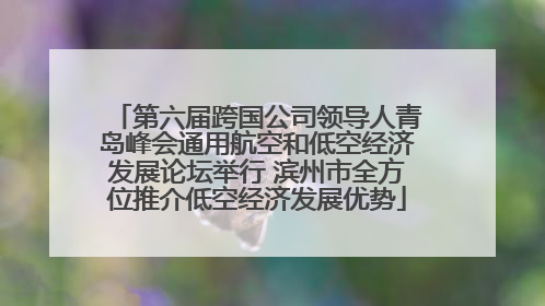 第六届跨国公司领导人青岛峰会通用航空和低空经济发展论坛举行 滨州市全方位推介低空经济发展优势