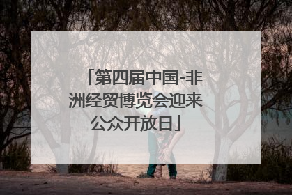 第四届中国-非洲经贸博览会迎来公众开放日